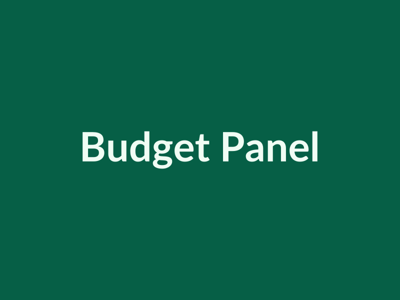 Budget and store configuration panel