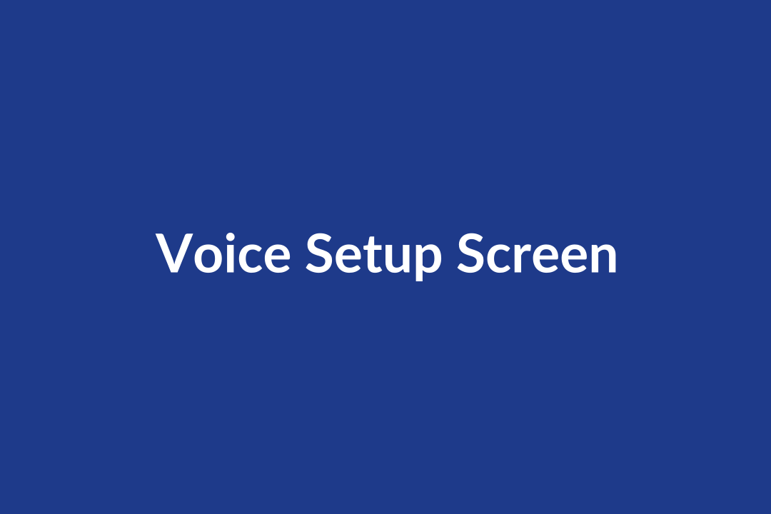 Voice setup screen with permissions and language selection
