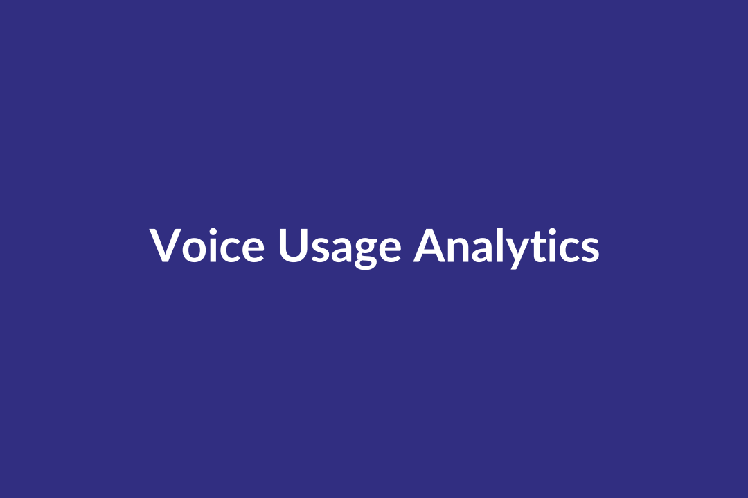 Voice input video placeholder